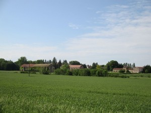 L'Abbaye de Citeaux